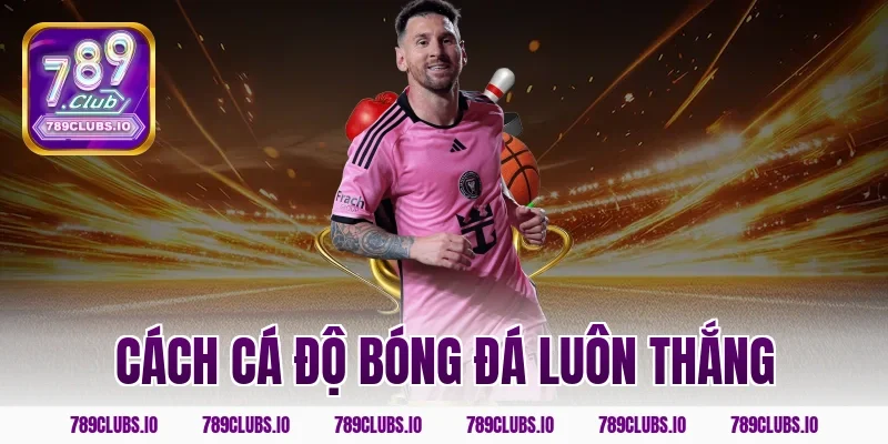 cách cá độ bóng đá luôn thắng