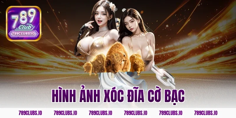 Hình Ảnh Xóc Đĩa Cờ Bạc